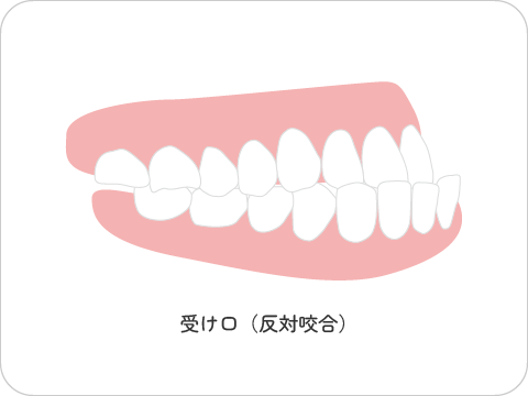 とよす矯正歯科